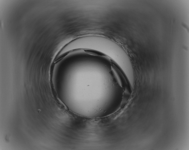 X0000091360148200708241318