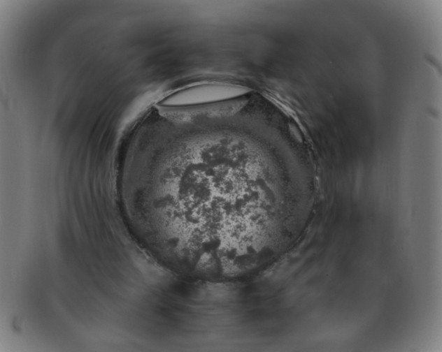X0000091360149200708241318