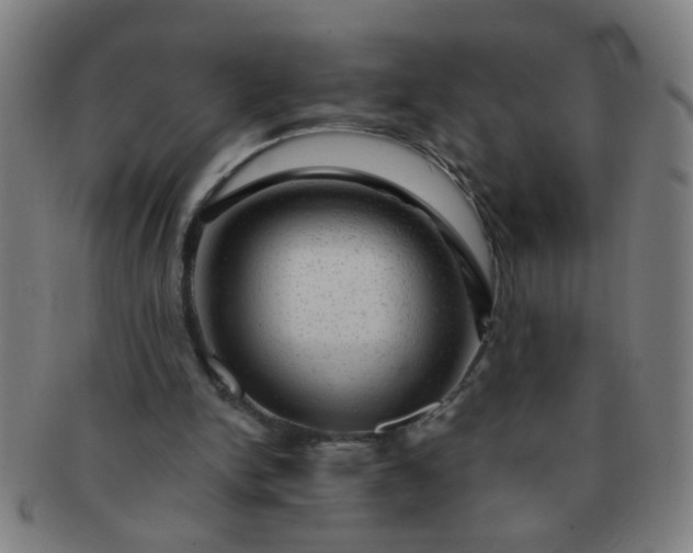 X0000091360150200708241318