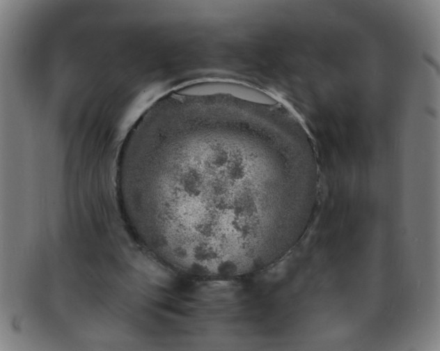 X0000091360151200708241318