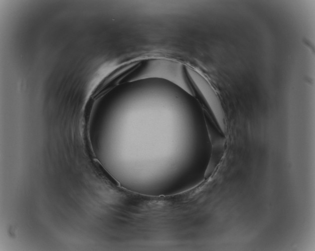 X0000091360152200708241318