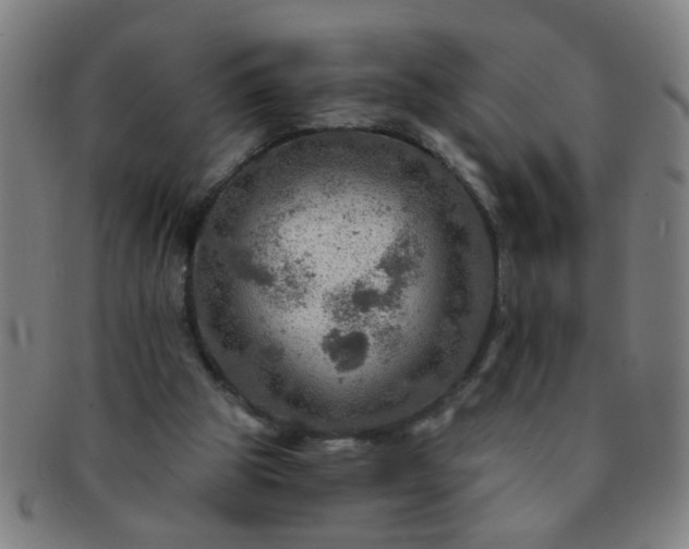 X0000091360153200708241318