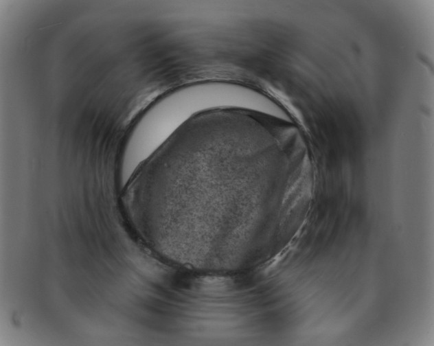 X0000091360154200708241318