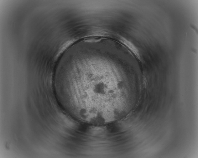 X0000091360155200708241318