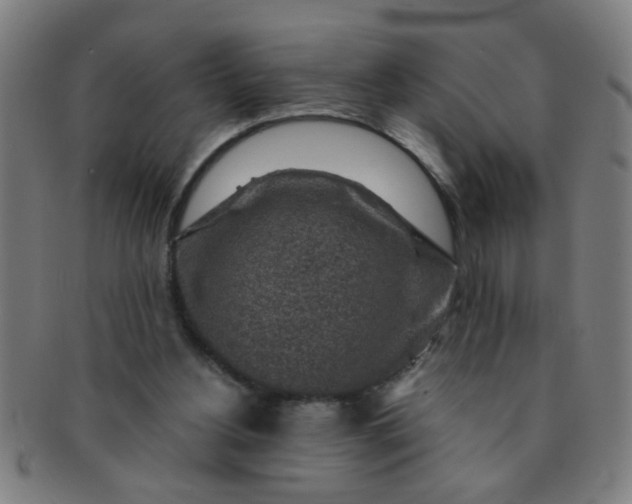 X0000091360156200708241318