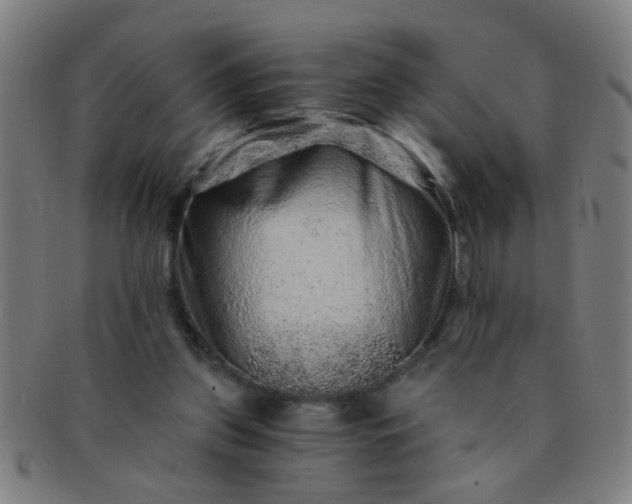 X0000091360157200708241318