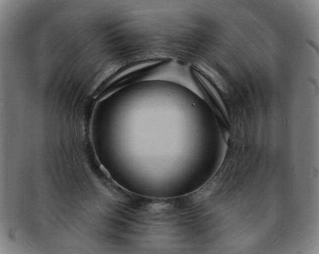 X0000091360158200708241318