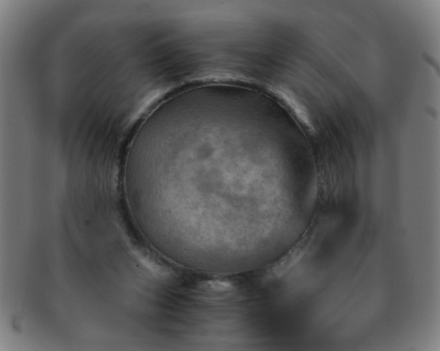 X0000091360159200708241318