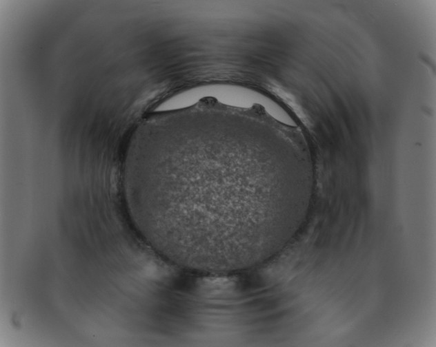 X0000091360161200708241318