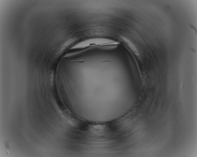 X0000091360163200708241318