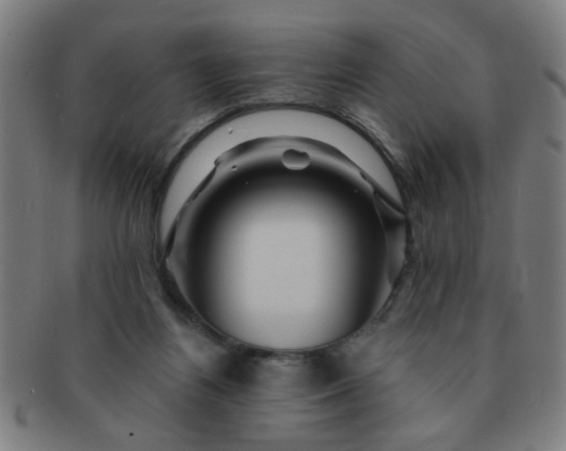 X0000091360164200708241318