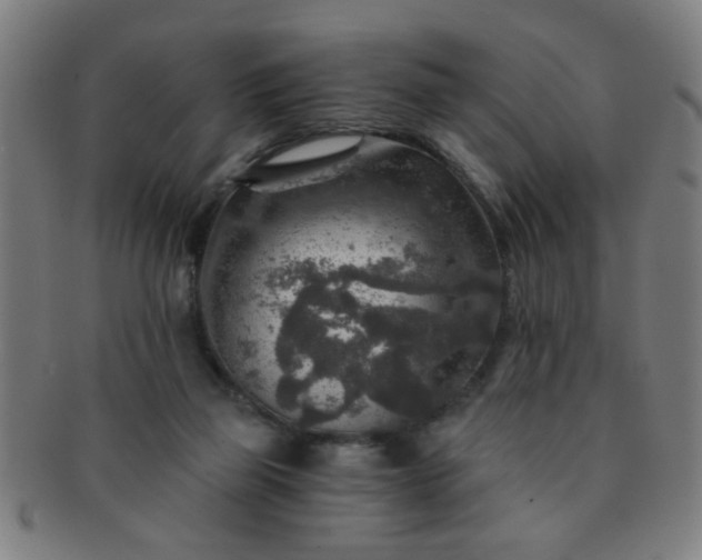 X0000091360165200708241318
