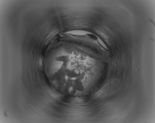 X0000091360166200708241318