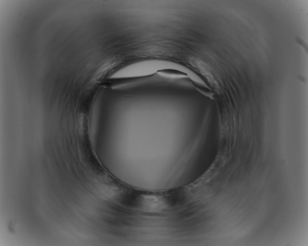X0000091360167200708241318