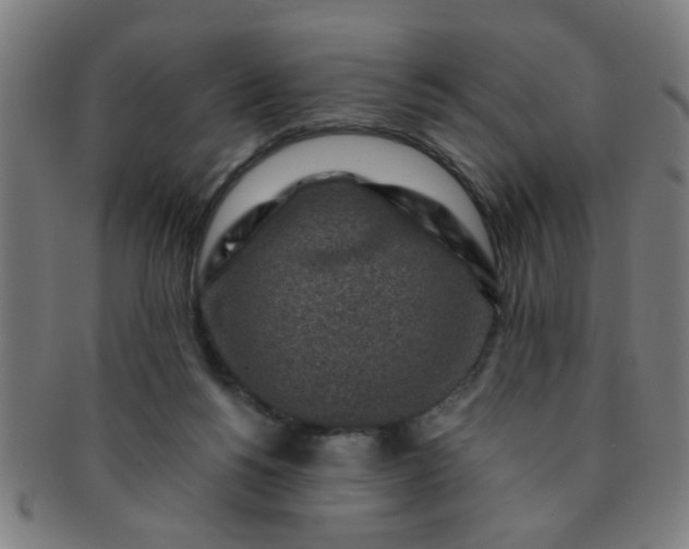 X0000091360168200708241318