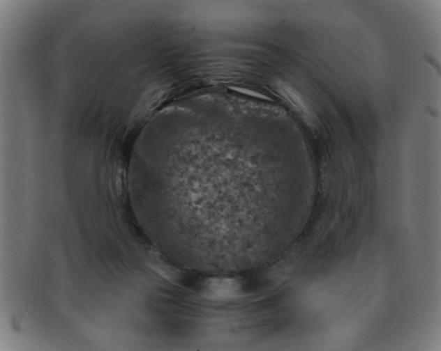 X0000091360169200708241318