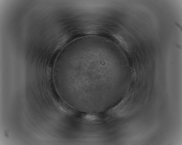 X0000091360171200708241318