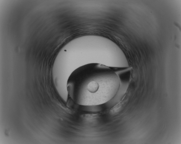 X0000091360172200708241318