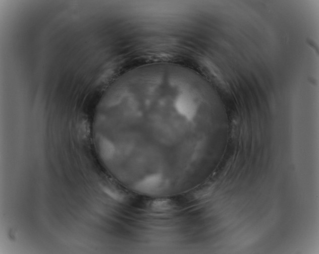X0000091360173200708241318