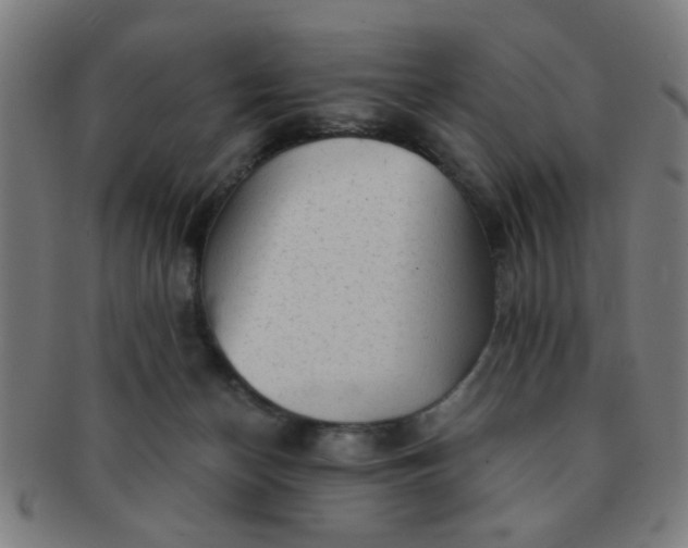 X0000091360174200708241318