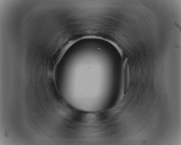 X0000091360176200708241318