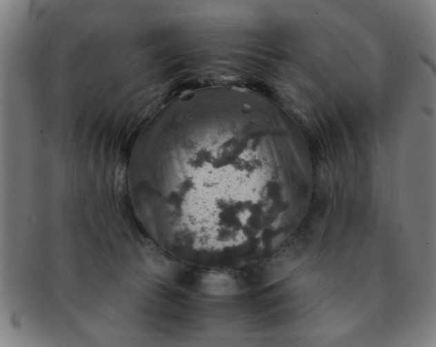 X0000091360177200708241318