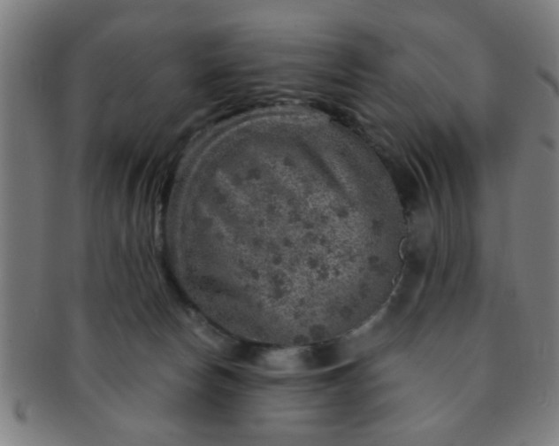 X0000091360178200708241318