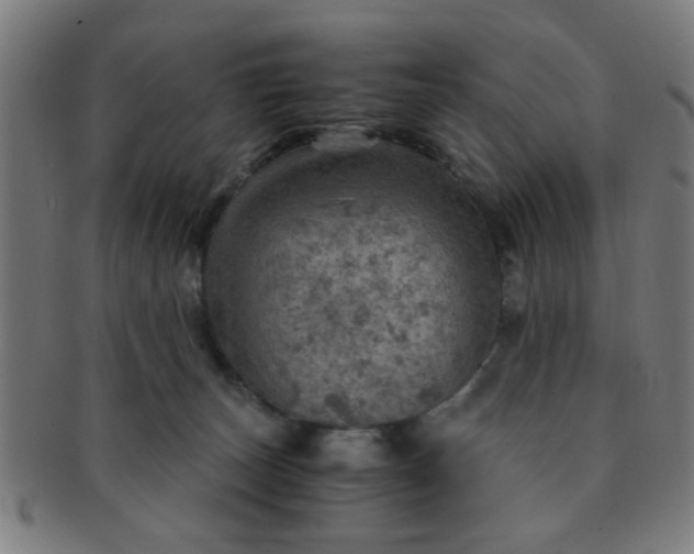 X0000091360179200708241318