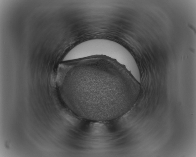 X0000091360180200708241318