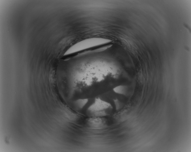 X0000091360181200708241318