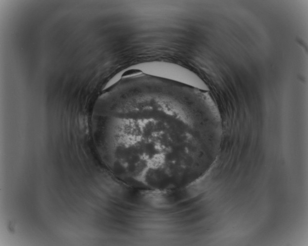 X0000091360182200708241318