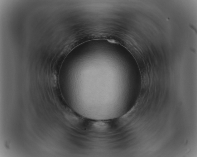 X0000091360183200708241318