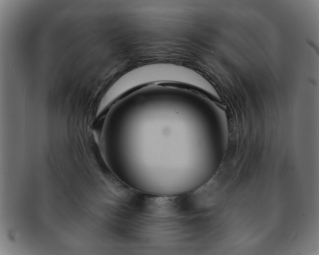 X0000091360184200708241318