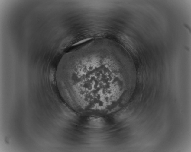 X0000091360185200708241318