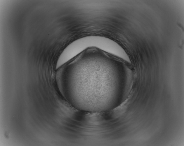 X0000091360186200708241318
