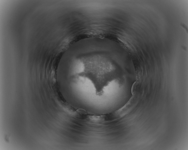 X0000091360187200708241318