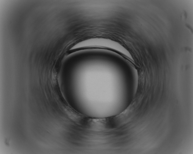 X0000091360188200708241318