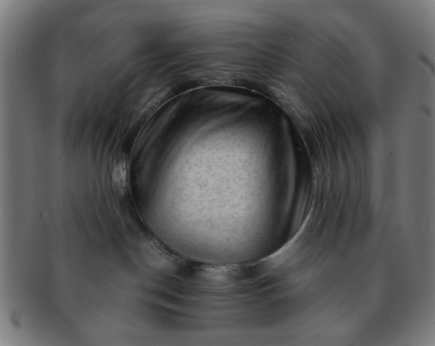 X0000091360190200708241318