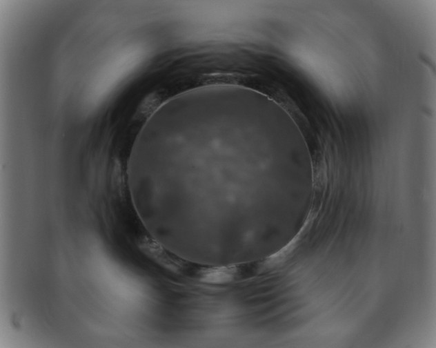 X0000091360191200708241318
