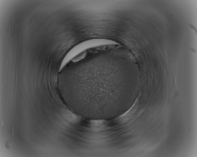 X0000091360192200708241318