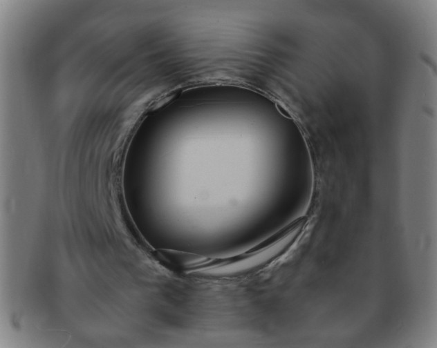 X0000091360193200708241318