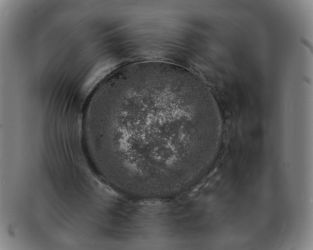 X0000091360194200708241318