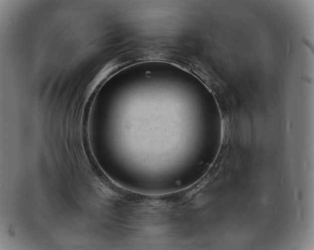 X0000091360195200708241318