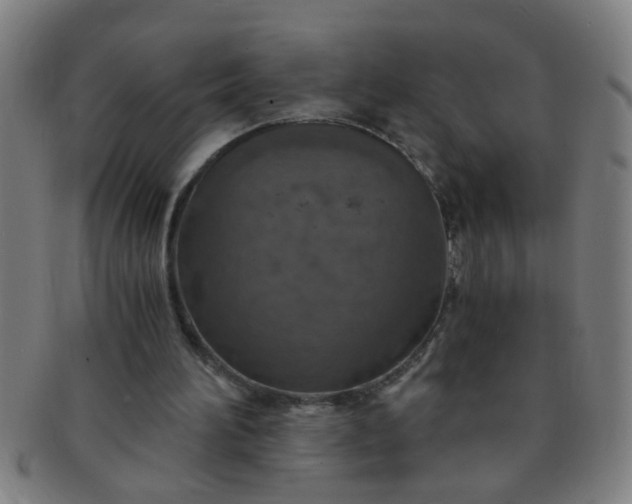X0000091360196200708241318