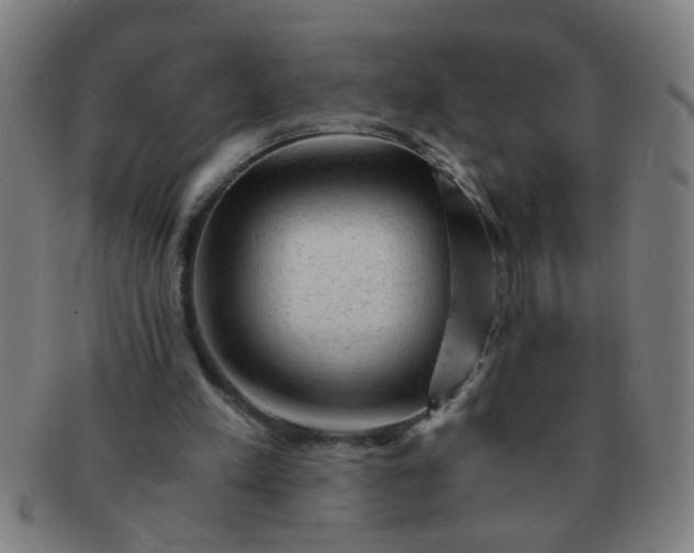 X0000091360197200708241318
