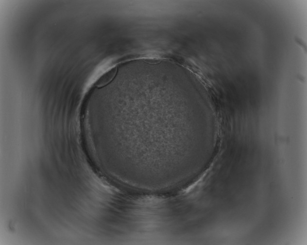 X0000091360198200708241318