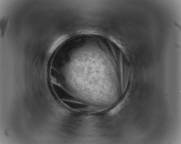 X0000091360199200708241318