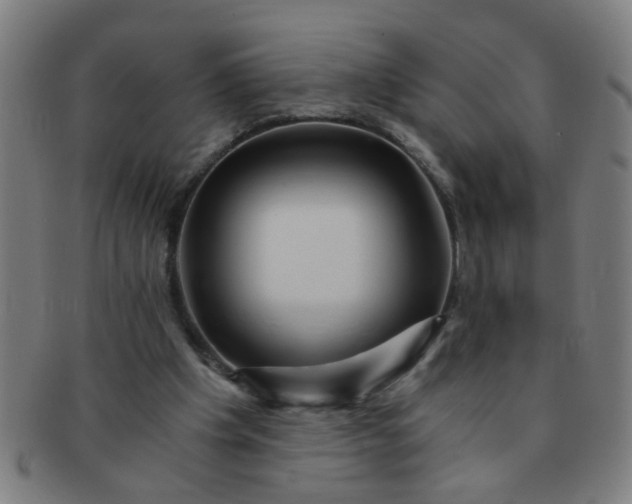 X0000091360201200708241317