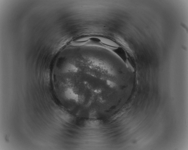 X0000091360202200708241317