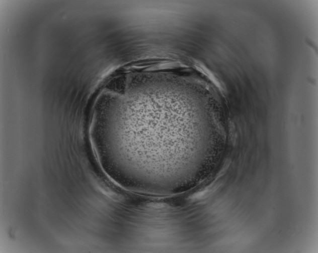 X0000091360203200708241317
